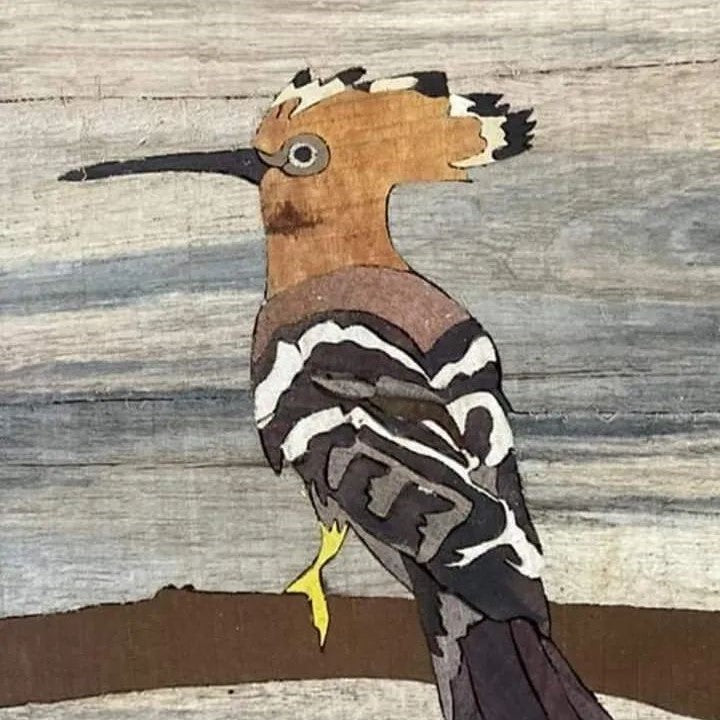 Bird Series