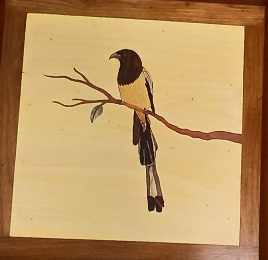 Bird Tray - Treepie