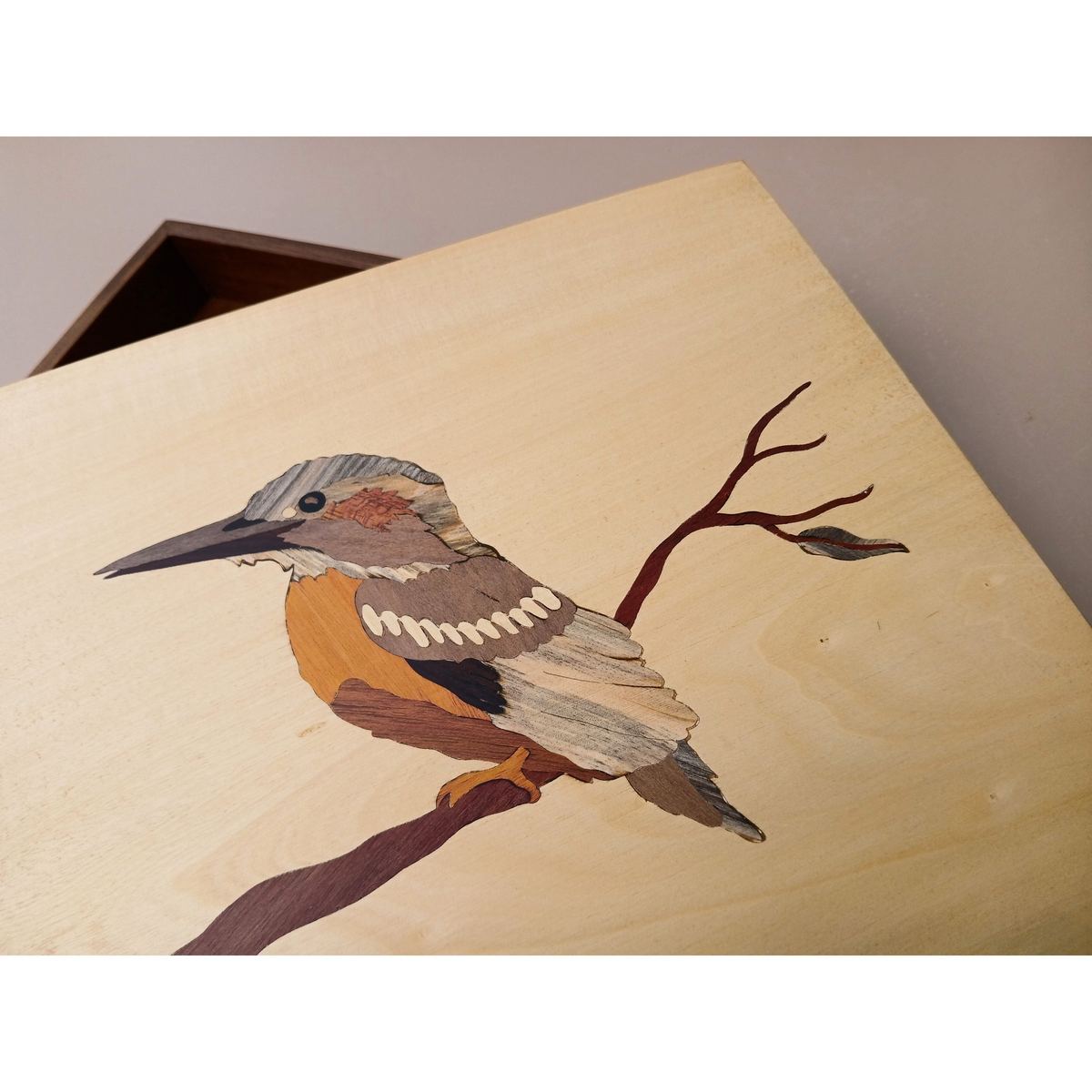 Bird Box - Kingfisher